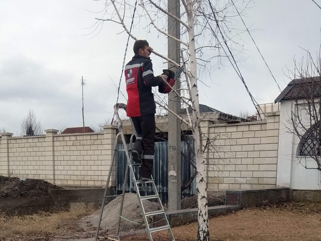 Обслуживание сада