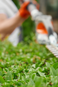 worker-is-cutting-grass-with-hose