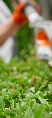 worker-is-cutting-grass-with-hose